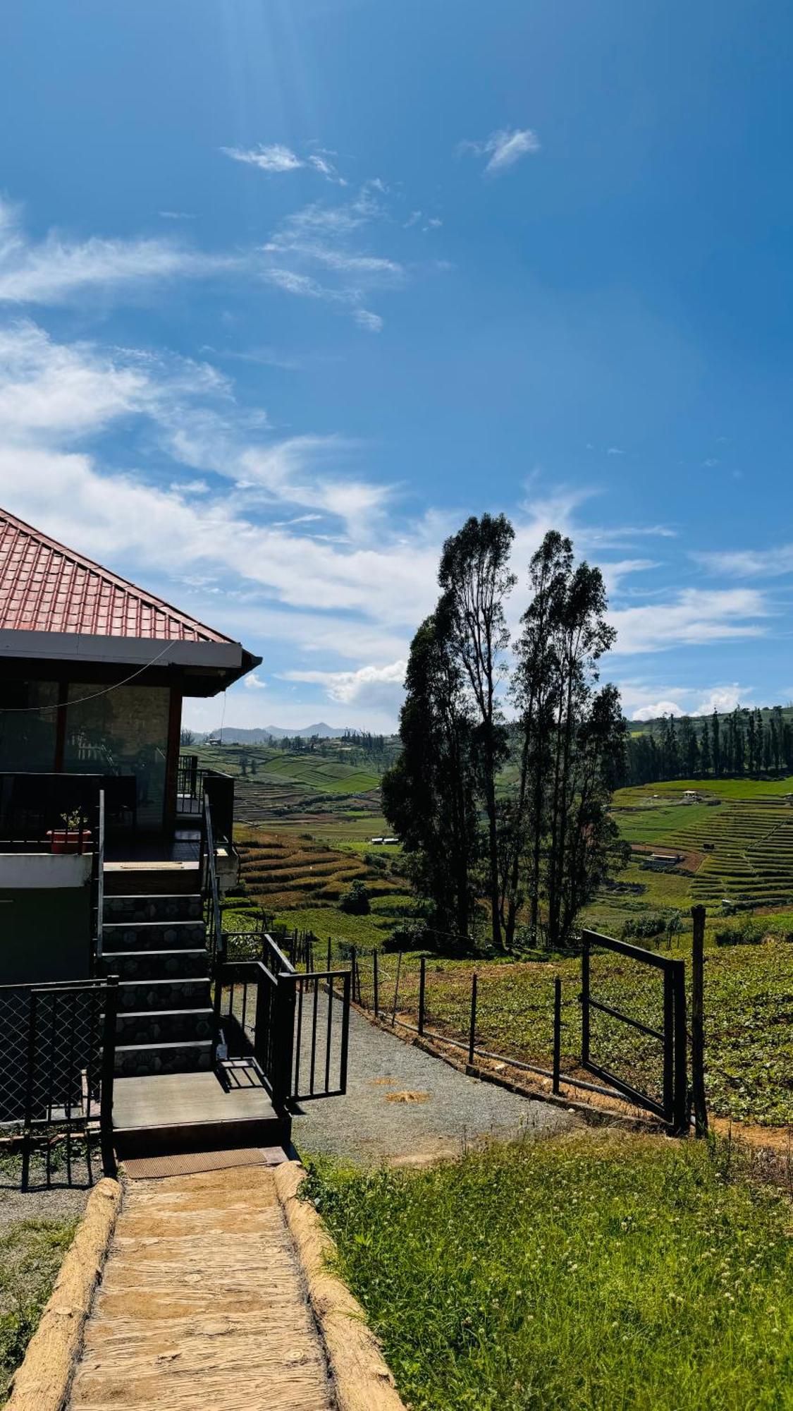 우티 The Wooden Springs B&B 외부 사진
